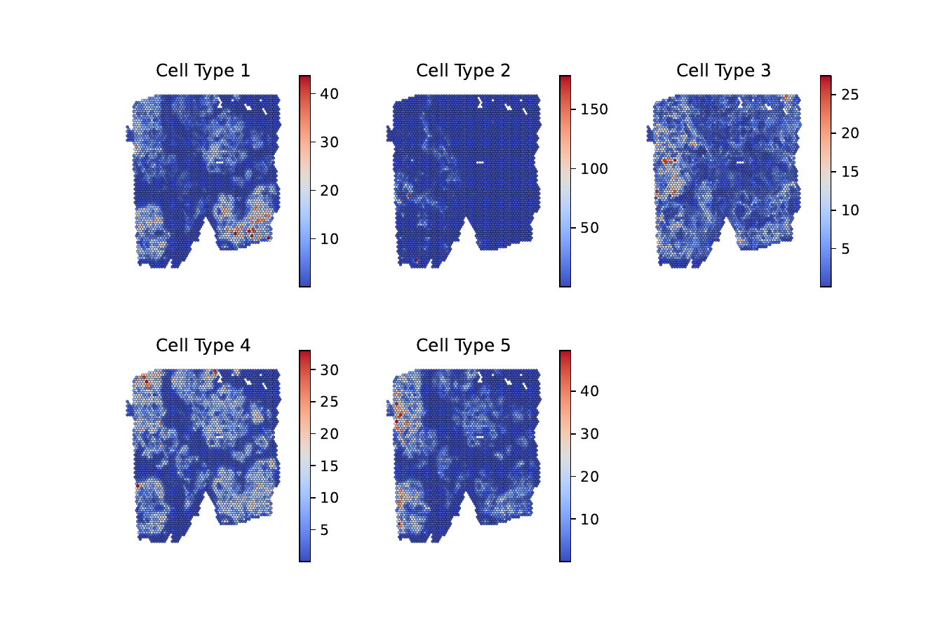 cell_type_counts