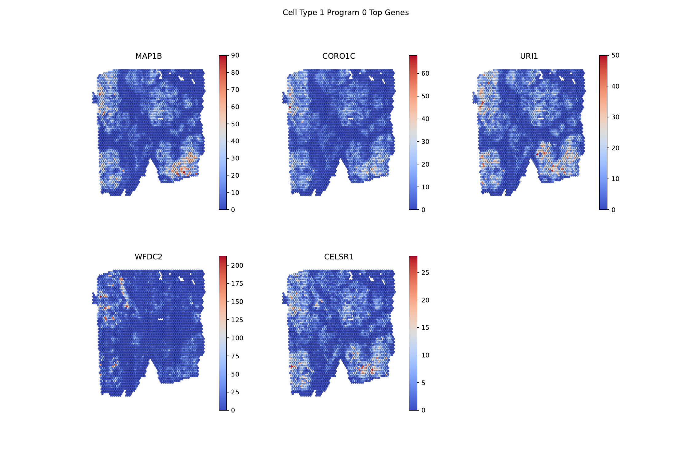 celltype0_program_0_top_5_genes